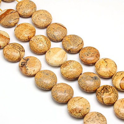 Natural Flat Round Picture Jasper Beads Strands G-L246-17-1