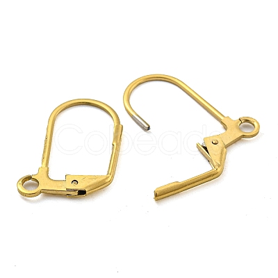 Ion Plating(IP) 304 Stainless Steel Leverback Earring Findings LS-STAS-P360-02B-G-1