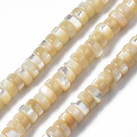 Natural Trochid Shell/Trochus Shell Beads Strands SSHEL-S266-019B-01-1