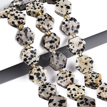 Natural Dalmatian Jasper Beads Strands G-N368-01A-03-1