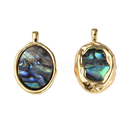 Synthetic Abalone Shell/Paua Shell Pendants KK-N233-254-1