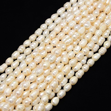 Natural Cultured Freshwater Pearl Beads Strands X-PEAR-L001-E-20-1