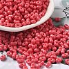 Baking Paint Glass Seed Beads SEED-K009-01A-18-1