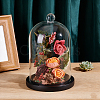 Arch Glass Dome Cover AJEW-WH0481-606C-4
