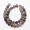 Natural Dragon Veins Agate Bead Strands G-K166-14-10mm-01-2