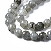 Natural Labradorite Round Beads Strands G-S158-6mm-3