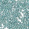Glass Seed Beads SEED-H002-C-A049-3