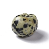 Natural Dalmatian Jasper Beads G-I352-02-5