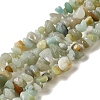 Natural Flower Amazonite Chips Beads Strands X-G-M205-12-01-2