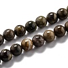 Round Natural Ocean Agate/Ocean Jasper Beads Strands G-O199-02A-1