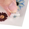 Waterproof Plastic Self Adhesive Stickers DIY-F064-13E-3