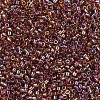 MIYUKI Delica Beads Small SEED-X0054-DBS0170-3