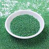 MIYUKI Round Rocailles Beads X-SEED-G007-RR0179L-2