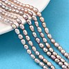 Natural Cultured Freshwater Pearl Beads Strands PEAR-I007-01P-04B-1