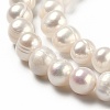 Natural Cultured Freshwater Pearl Beads Strands PEAR-L033-05C-2