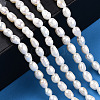 Natural Cultured Freshwater Pearl Beads Strands PEAR-N012-03I-6
