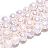 Natural Cultured Freshwater Pearl Beads Strands X-PEAR-N013-17N-01-5