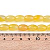 Dyed Natural Agate Beads Strands G-T141-15B-02-5