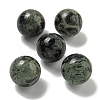 Natural Rhyolite Jasper Round Ball Figurines Statues for Home Office Desktop Decoration G-P532-02A-11-1