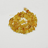 Natural Amber Chip Beads Strands G-E333-01B-2