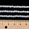 Imitation Jade Glass Beads Stands EGLA-A035-J3mm-B06-5