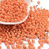 Baking Paint Glass Seed Beads SEED-A032-02J-1