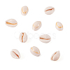 Natural Cowrie Shell Beads BSHE-TA0001-01-3