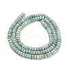 Natural Amazonite Beads Strands X-G-L635-A35-4x2mm-4