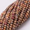 Natural Leopard Skin Jasper Beads Strands G-N0187-02-2mm-1