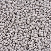 MIYUKI Delica Beads SEED-J020-DB2366-3