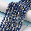 Natural Sodalite Beads Strands G-H292-A08-01-2
