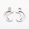 Tibetan Style Alloy Pendants LF10650Y-1
