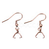 Ion Plating(IP) 304 Stainless Steel Hooks STAS-N092-163RG-1