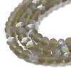Transparent Glass Beads Strands EGLA-A034-T4mm-MB16-4