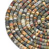 Natural Red Picasso Jasper/Polychrome Jasper Beads Strands G-P575-B10-4x2mm-3