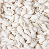 Natural Trumpet Shell Beads BSHE-KS0001-01-6