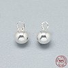 925 Sterling Silver Charms STER-T002-234S-3