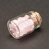Transparent Glass Wishing Bottle Decoration DJEW-A001-01A-07-3