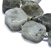 Natural Labradorite Beads Strands G-K245-J21-01-3