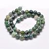 Natural Moss Agate Beads Strands G-F350-6mm-2