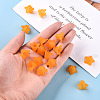 Transparent Acrylic Beads X-PLF018-08-6