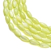 Natural Freshwater Shell Beads Strands SHEL-C010-01D-2