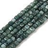 Natural Freshwater Shell Dyed Beads Strands SHEL-R100-11A-05-1