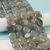 Natural Labradorite Beads Strands G-M403-C09-01-2