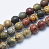 Natural Polychrome Jasper/Picasso Stone/Picasso Jasper Beads Strands G-E444-43-10mm-1