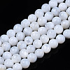 Natural Freshwater Shell Beads Strands SHEL-N003-24-4