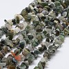 Natural Indian Agate Beads Strands G-F328-12-1