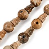 Natural Picture Jasper 3-Hole Guru Beads Strands G-H064-E06-01-1