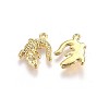 Alloy Pendants LS-X-TIBEP-A040-015G-NR-2