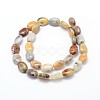 Natural Crazy Lace Agate Flat Oval Bead Strands G-M206-18-2